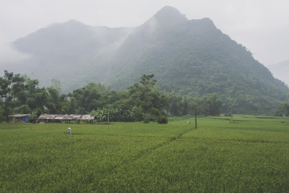 Mai Chau-10